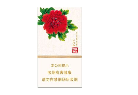 越南代工康希香烟总仓